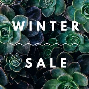 Winter Colors, Winter Style